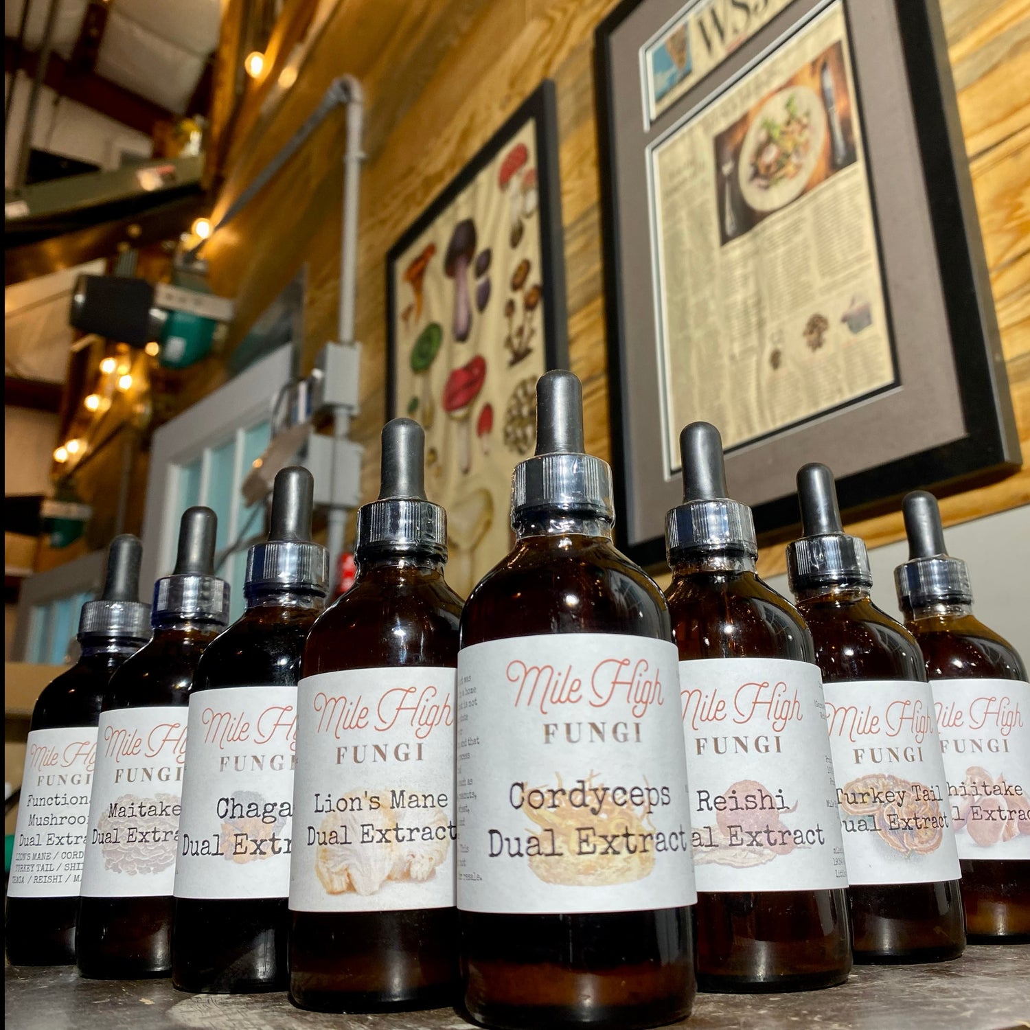 Functional Mushroom Tinctures