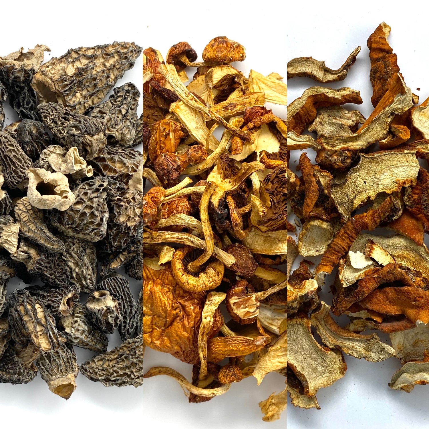 Dried Mushrooms