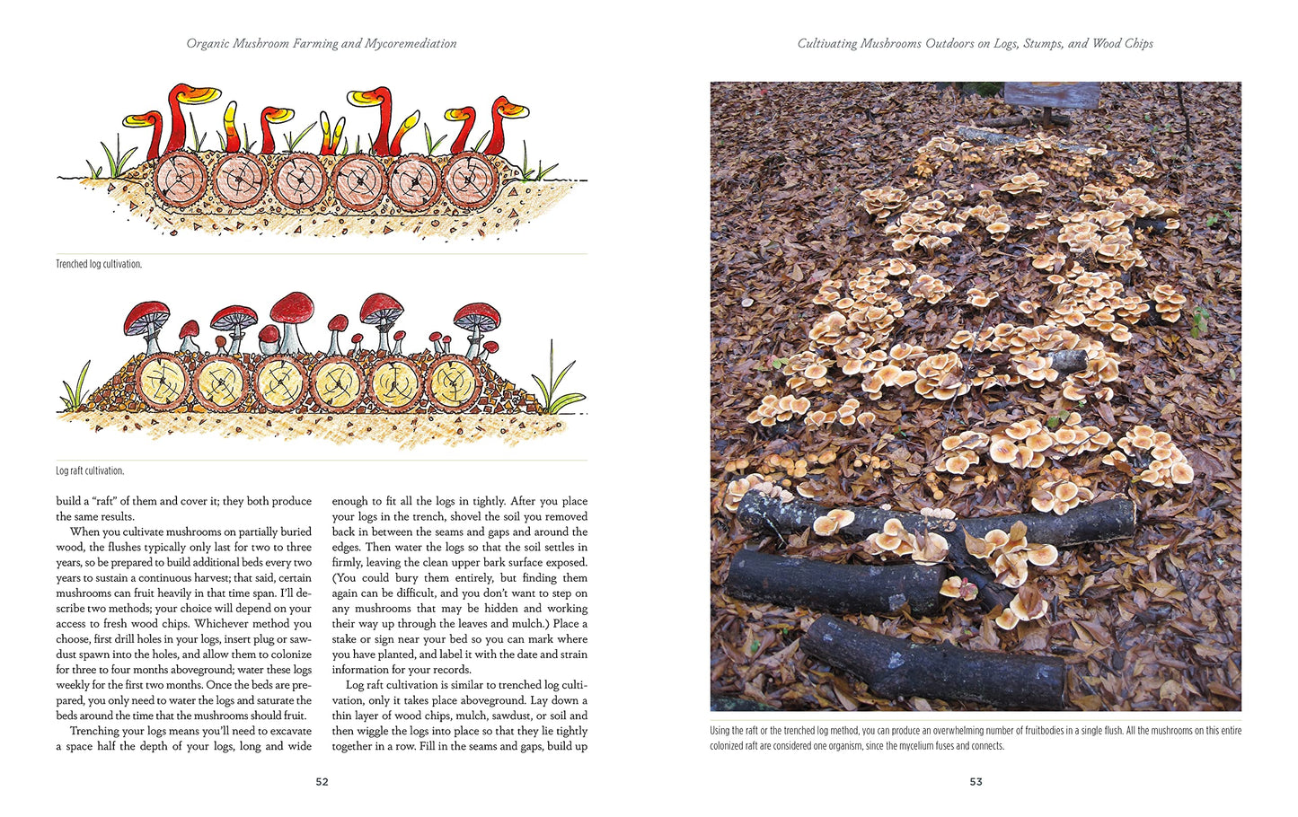 Organic Mushroom Farming and Mycoremediation: Simple to Advanced and Experimental Techniques for Indoor and Outdoor Cultivation