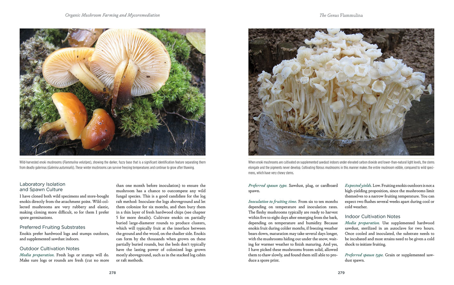 Organic Mushroom Farming and Mycoremediation: Simple to Advanced and Experimental Techniques for Indoor and Outdoor Cultivation