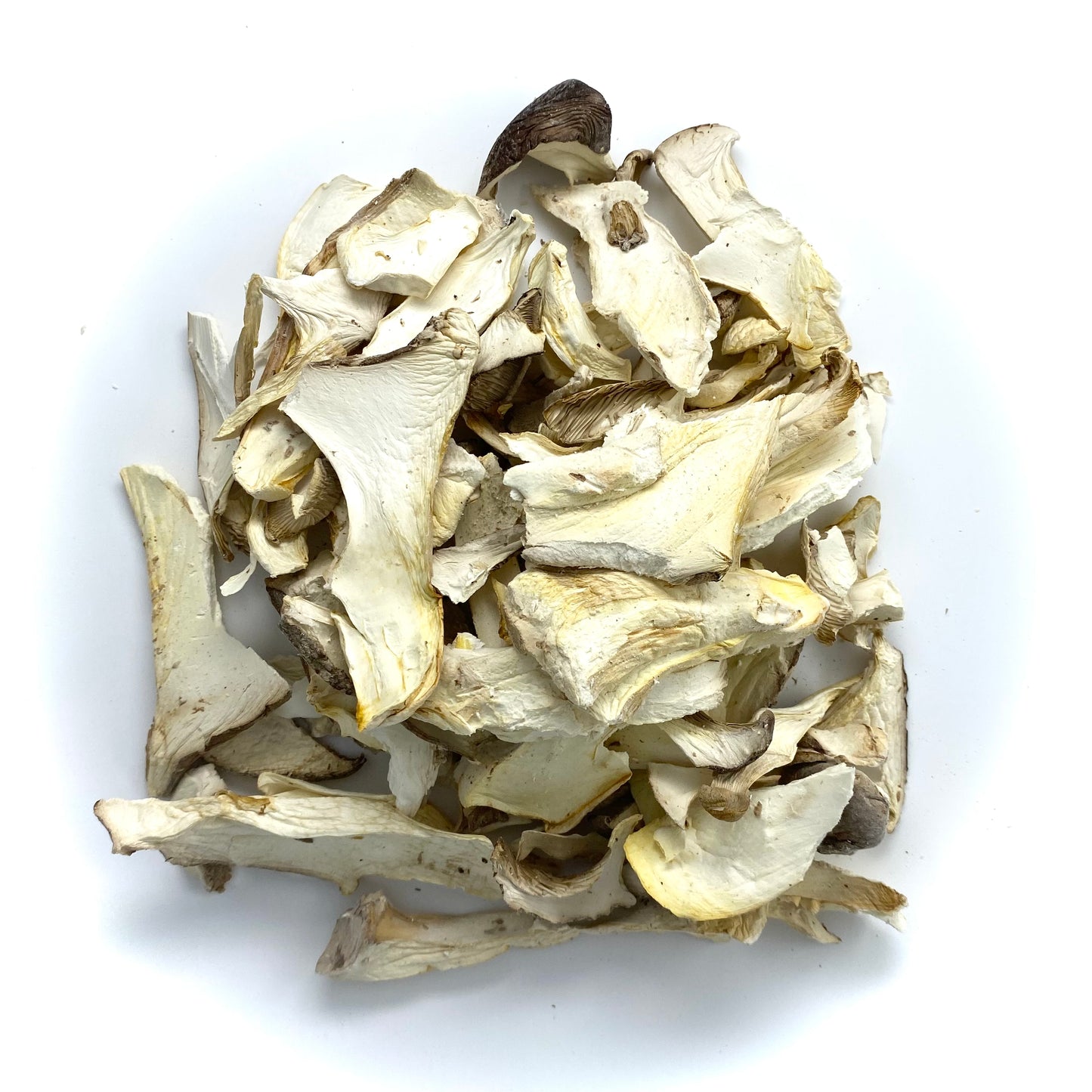 King Trumpet Dried