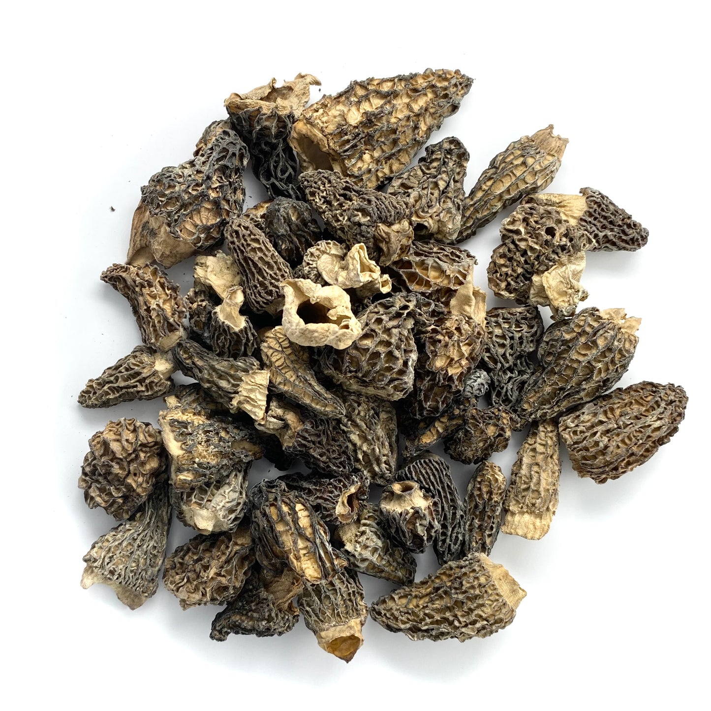 Morels Dried